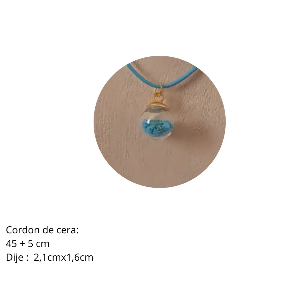 Mercao Libre (1).webp