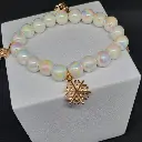 Mercao Libre (1).webp