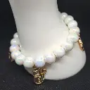 Mercao Libre (2).webp