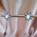 Mercao Libre (1).webp