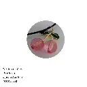 238.webp