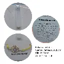 229.webp