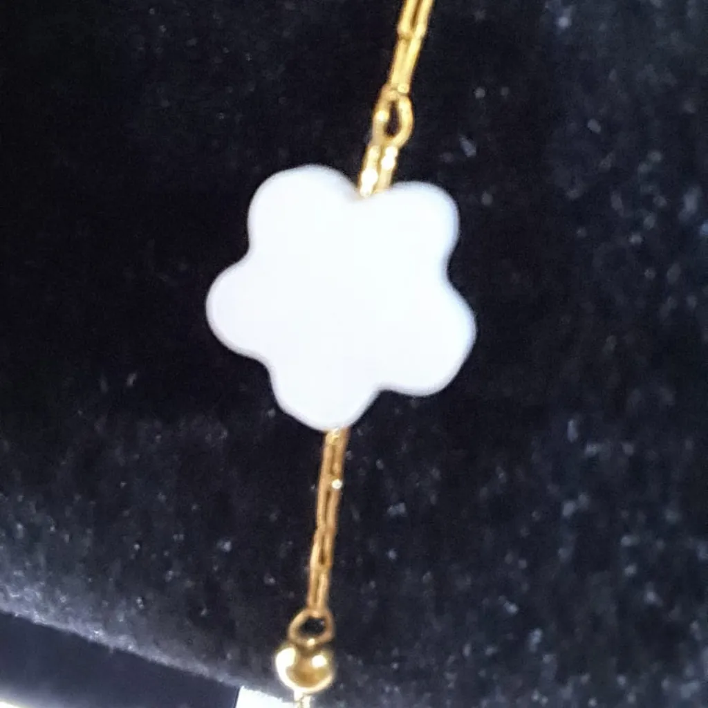 Mercado Libre (1).webp