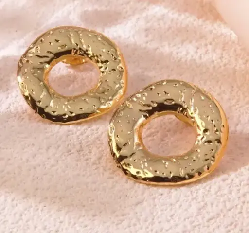 [NHMX501191504661]  Aretes Sofía